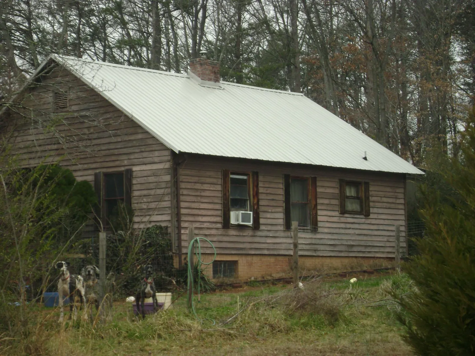 White metal roof on an old wood sided farmhouse, from a Asphalt Shingle Roof Repair job in Marysville